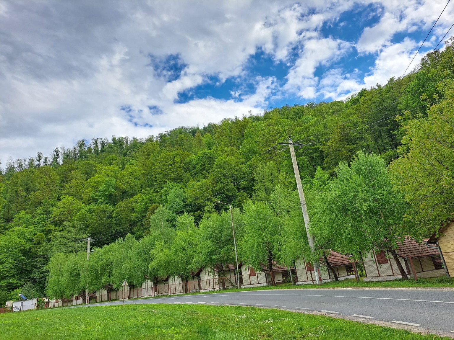 Peisaj verde din Moneasa